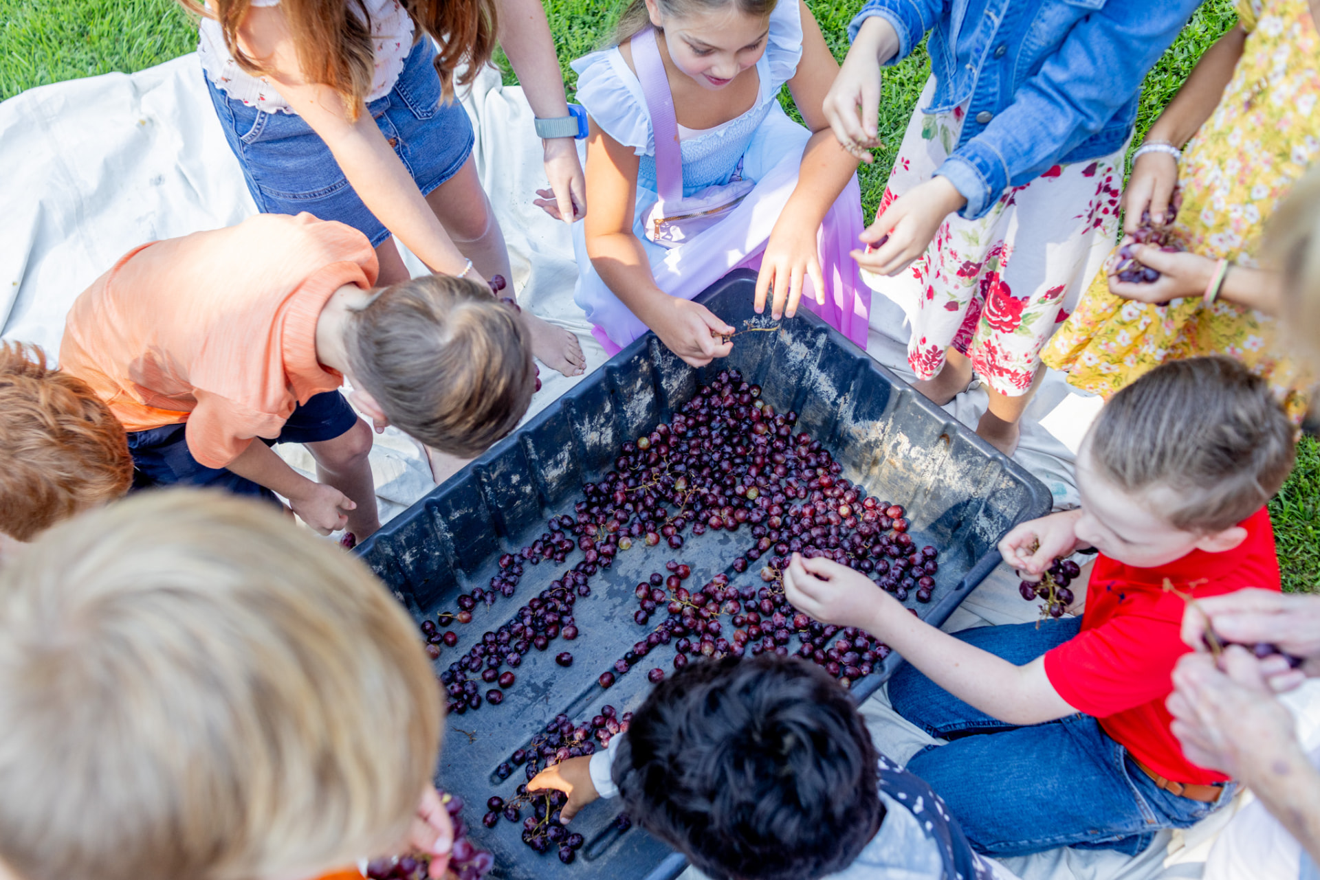 Kids gathered around a tray of grapes at an outdoor church activity
